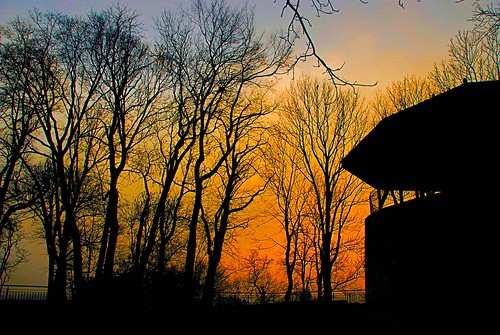 trees sunset orange silhouette poland castlehill cieszyn armoury