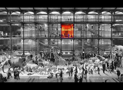 Just one with light :) by Zed The Dragon, <b>Grande galerie de l'évolution du Muséum national d'histoire naturelle.</b>

Il existait au Muséum