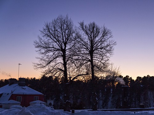 trees winter sky finland sundown january porvoo 2013 canoneos7d adobelightroom4 me2youphotographylevel1