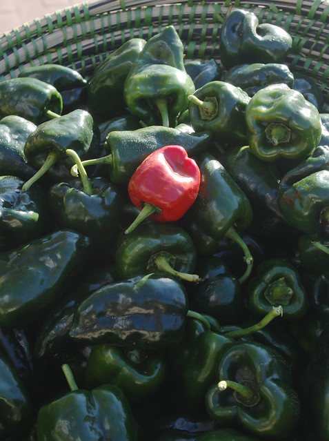 One Hot Red Pepper Among the Green
