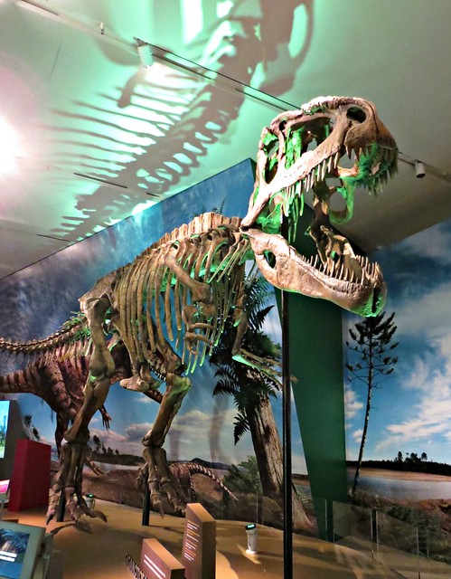 Giganotosaurus, Ultimate Dinosaurs, Royal Ontario Museum, Toronto, ON