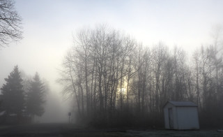 Morning fog with a shed_pregamma_1_fattal_alpha_1_beta_0.9_saturation_1_noiseredux_0_fftsolver_1