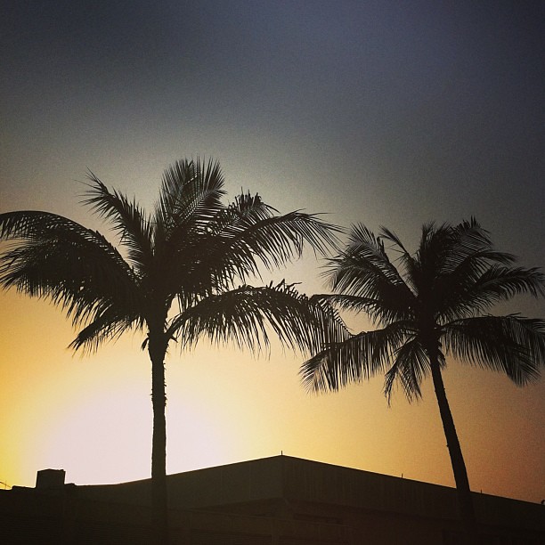 #Nature #Palm #Sky Jeddah