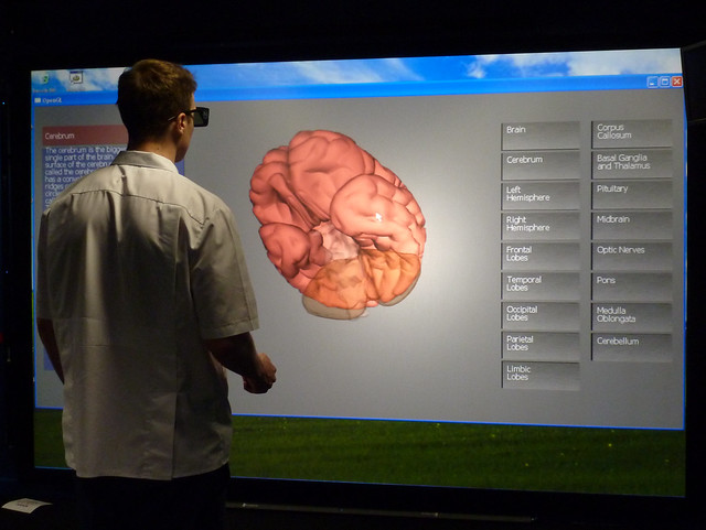 Virtual brain
