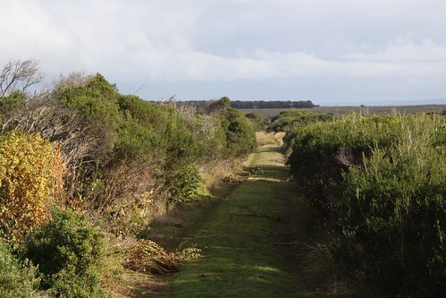 Another minor street on the Summerland Estate