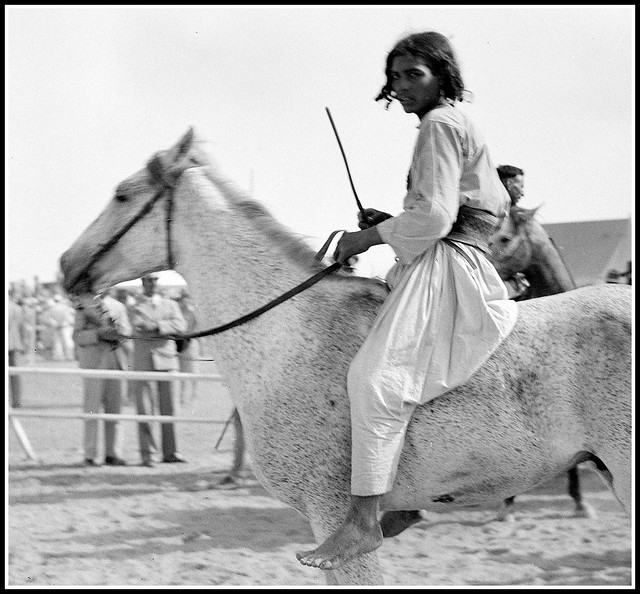 Race meeting (horse & camel). Beersheba, Palestine. Parading horses before the races - 1940 May 4.