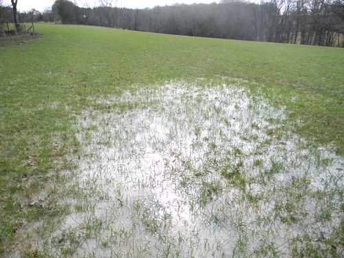 Wet field That shiny stuff is water Stonegate to Robertsbridge