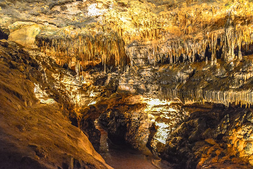 bridge usa fish virginia us unitedstates natural market va valley cave shenandoah caverns luray stalactites stalagmites