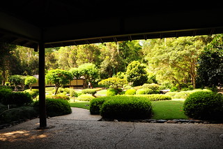 Mt cootha garden