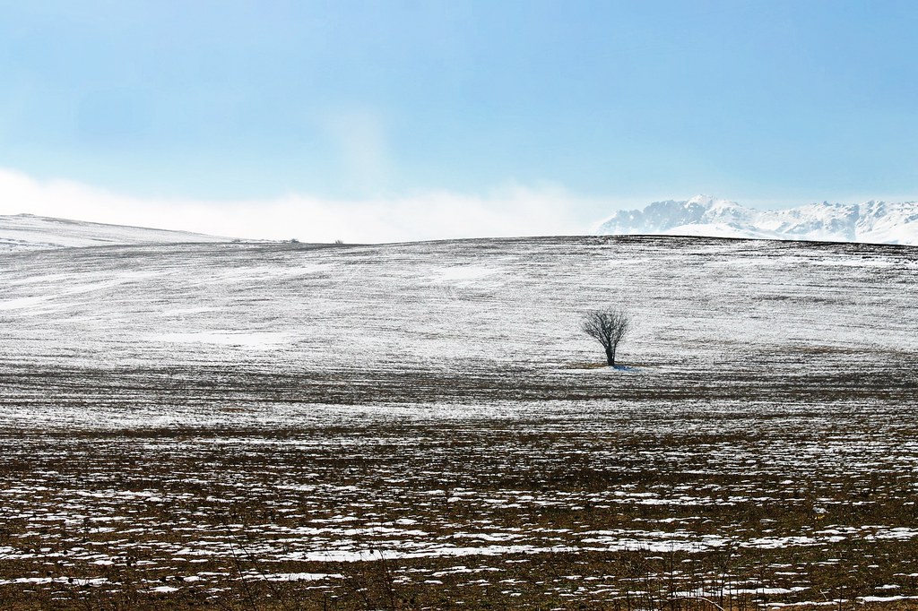 In Wait of Spring