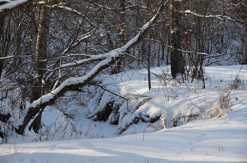 winter canada creek landscape december manitoba 2012 12月 カナダ 師走 shiwasu 十二月 じゅうにがつ jūnigatsu priestsrun 平成24年 マニトバ州