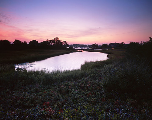 marsh by rczeien, <a href="http://flickrscripts.com/onblack/?size=original&photoid=8437434082" rel="nofollow">View