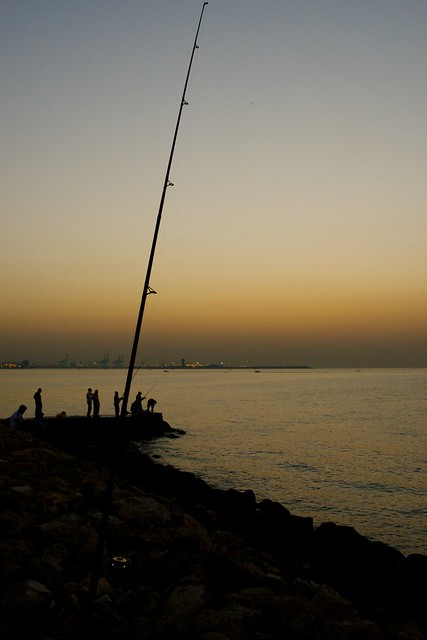 Fishing at sunset #2