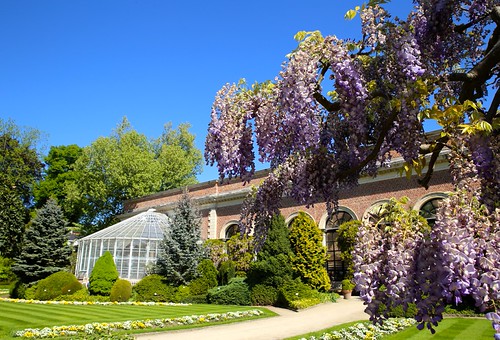 Lente @Kruidtuin Leuven