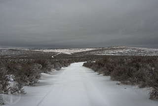 Fresh snow on Jordan Craters Road