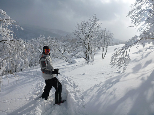 winter snow ski japan hokkaido skiholiday