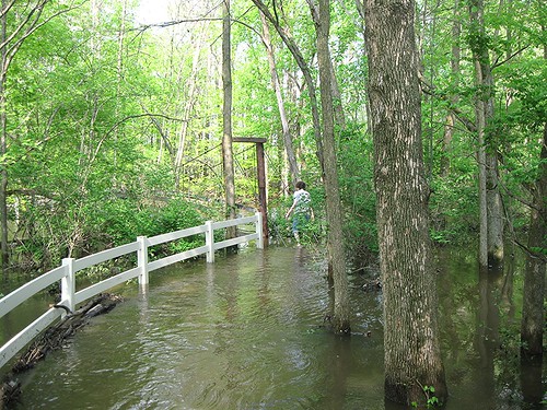 nature spring flood trail formar