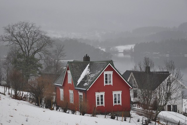 Red house in the foggy winter