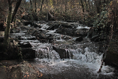 drycreek woods stream challenge