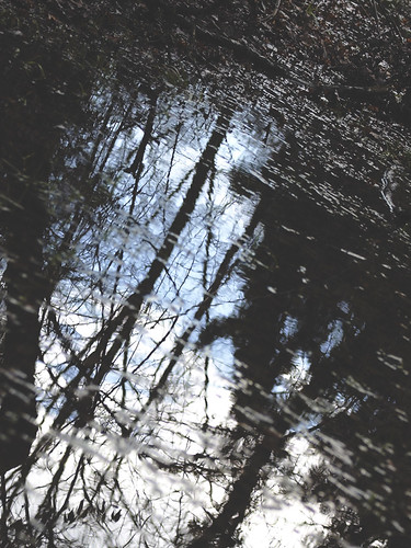reverse | by Roberta Romagnoli / wererabbit