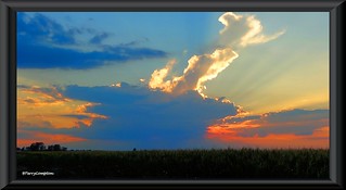 DSC02446_1 - Sunset Over Indiana Corn Field