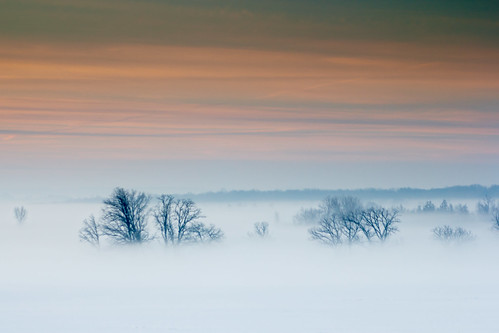 21. early morning fog by Gretchen Willis Photography, Our Daily Challenge, Group 3: Grayfog landscape