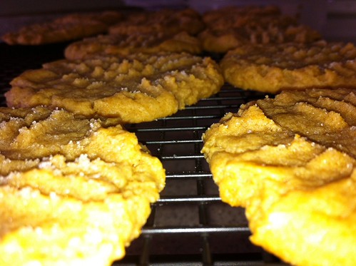 peanut butter cookies w/flash | by buunnymama