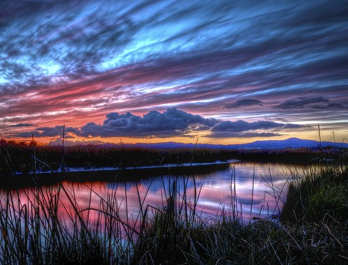 pink blue sunset sky reflection water night clouds outdoors evening purple cloudy dramatic wetlands marsh drama hdr highdynamicrange suisun