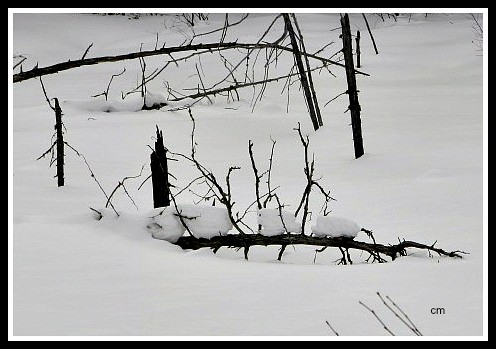 alignes | by Cloe_2011
