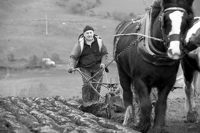 Horse Ploughing Ballycastle