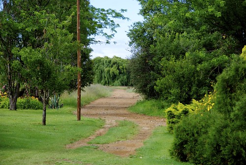 road xmas landscape southafricafreestatexmas2012