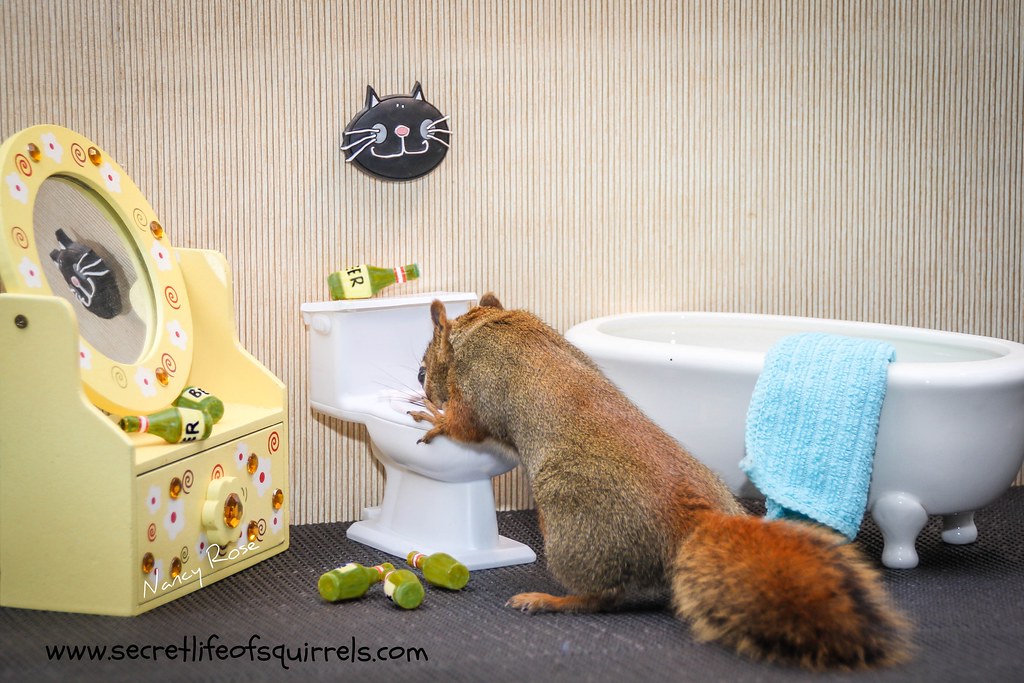 beer, bathroom, mirror, miniature, squirrel, toilet, tub, sick.