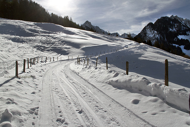 # 039– 13 – Paisagem de Neve – Alpes Suíços – Neuchâtel - Suíça