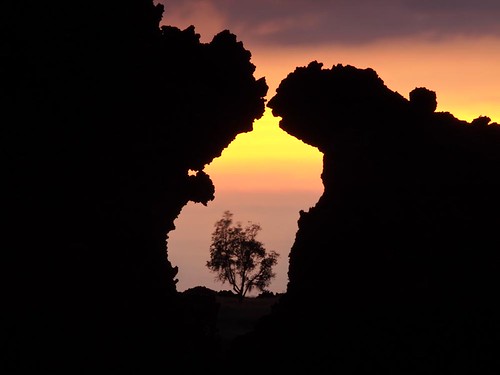 sunset tree art silhouette landscape photography hawaii photo focus exposure bigisland framing barren lavarock fromhereonin christopherjohnson