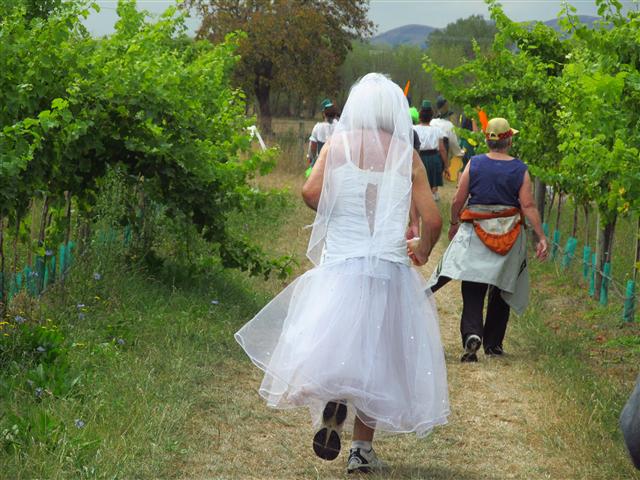 Bride on the run:  My Big Fat Irish Wedding team at Round the Vines fun run and walk, Martinborough