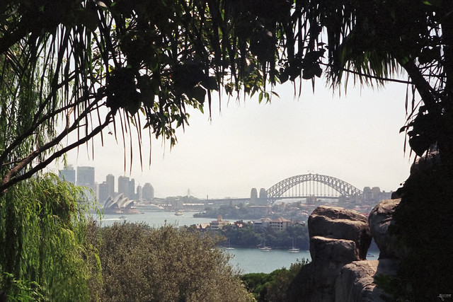 Sydney harbour seen from Taronga Zoo