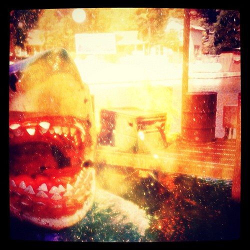 Jaws is Way too Close #SharkAttack | by lspinella