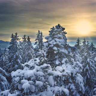 peaceful winter wonderland [Explored #80]