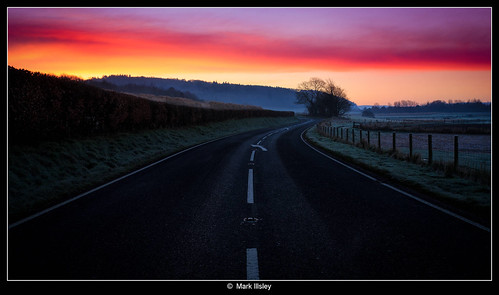 road trees sky color colour wales sunrise landscape frost unitedkingdom aberystwyth ceredigion canon5dmarkiii markillsley