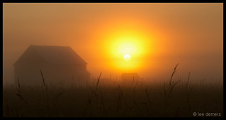 Foggy Sunrise-Edit.jpg