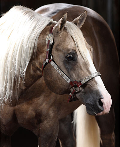 Booth Ranches | Flickr