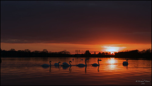 ireland sunset lake silhouette canon reflections landscape swan swans 7d ripples michaelmoore 1740 midleton loughaderra castlemartyr