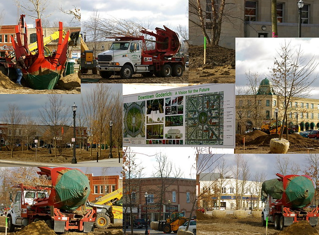 Tree Planting in Goderich, Ontario
