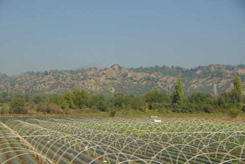 turkey countryside farmland hills crops shrubs