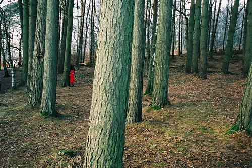 red film car 35mm children woods coat olympus cumbria tarn olympustrip35 talkin