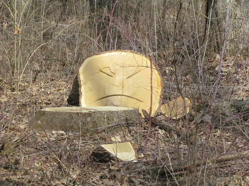 Somebody had fun with the chainsaw | by debstromquist
