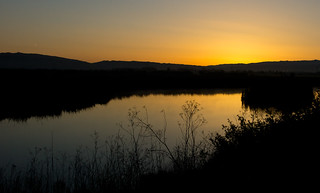 Sunrise - Coyote Creek Park