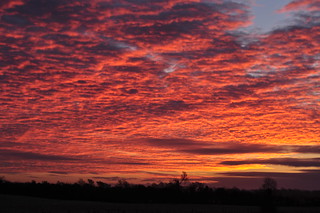 An Irish Country Sunrise: Red Sky in the Morning January 11th 2013