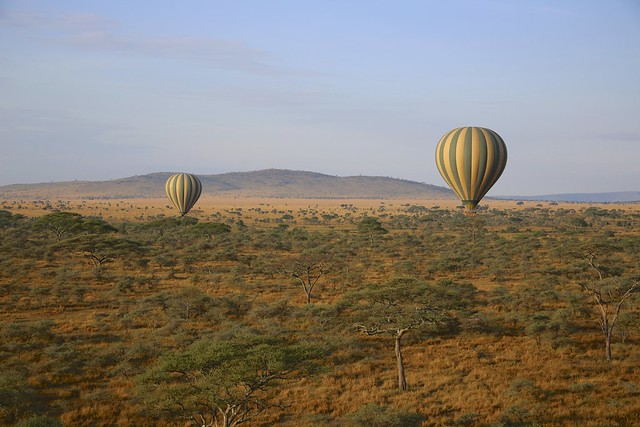 Hot air baloons over the Serengeti