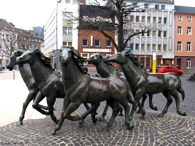 Wild Horses in Aachen (D)